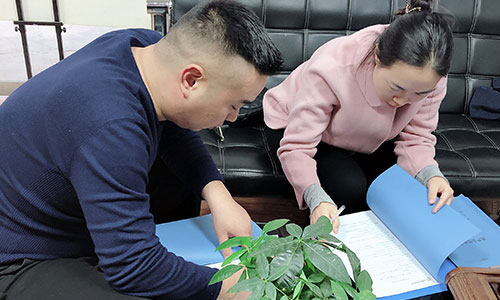 錦盾律所與房地產公司強強聯合